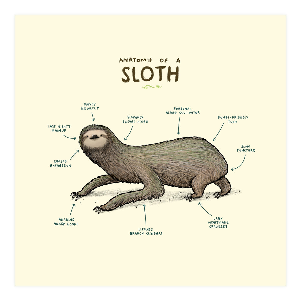 Anatomy Of A Sloth (Print Only)