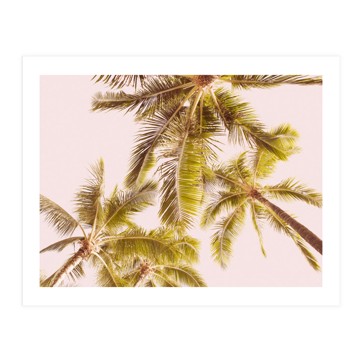 Blush Pink Boho Palm Trees (Print Only)
