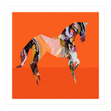 Crazy Ab Horse (Print Only) thumbnail