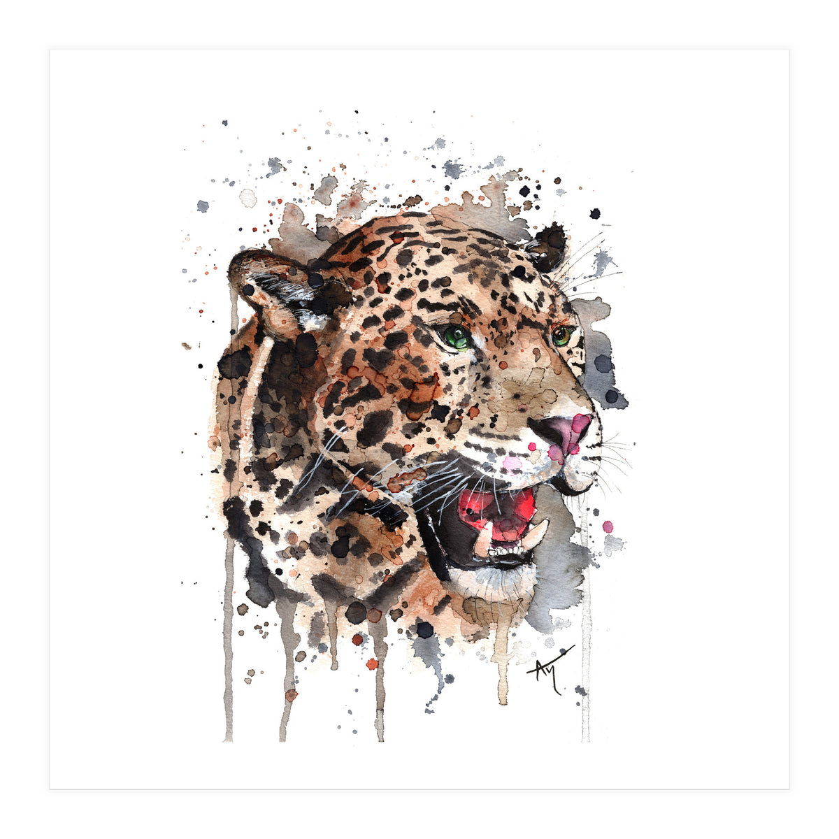 Leopard - Wildlife Collection (Print Only)