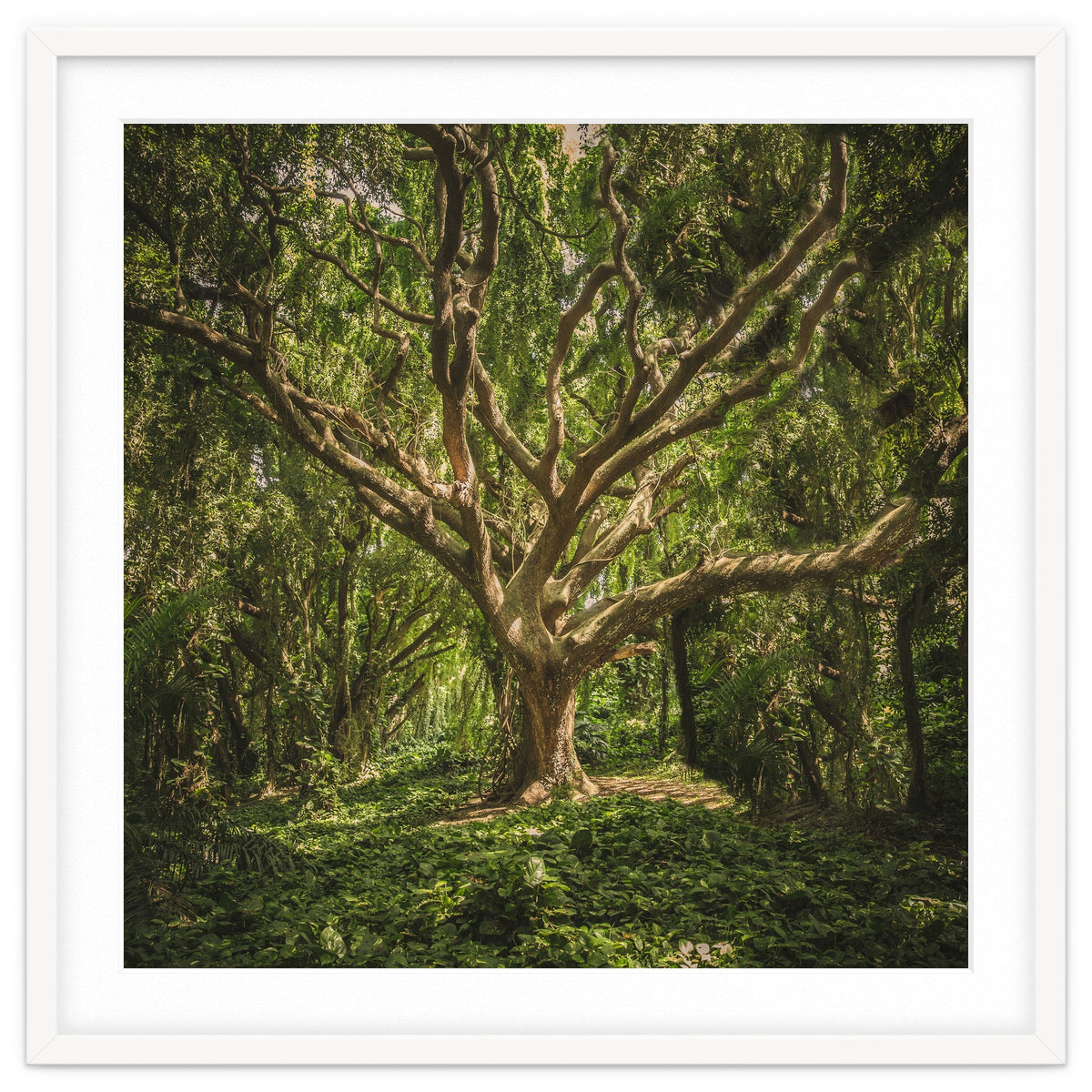 Spirits inside the wood