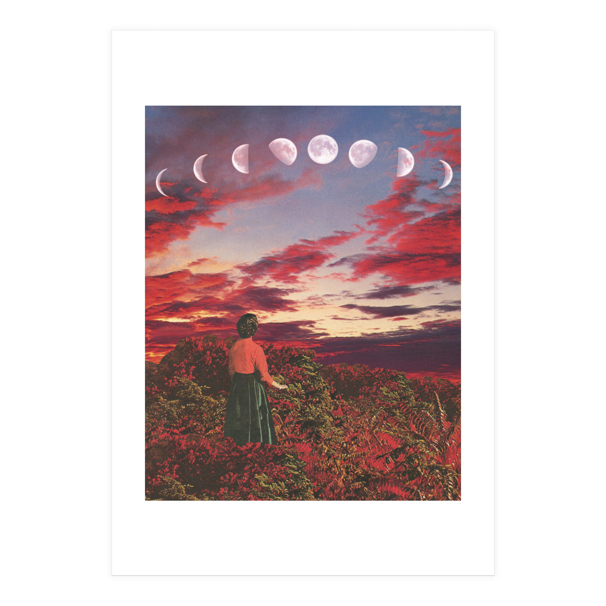 Crimson Paradise (Print Only)