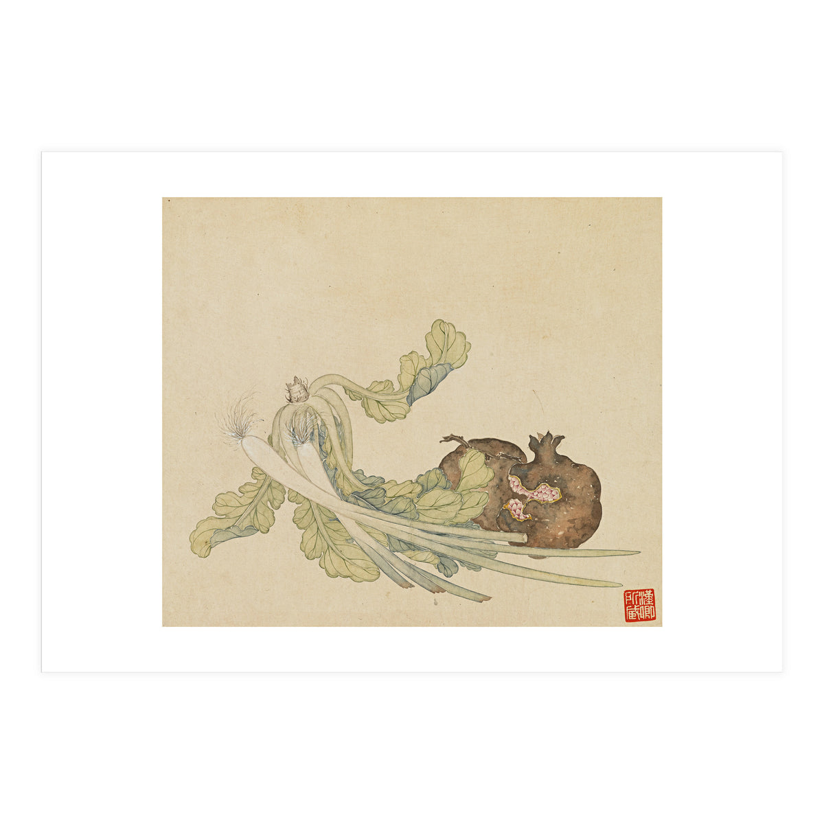 Wang Chengyu ~flowers, Vegetables, Pomegranates, Onions, Chinese Cabbage, Vegetables (Print Only)