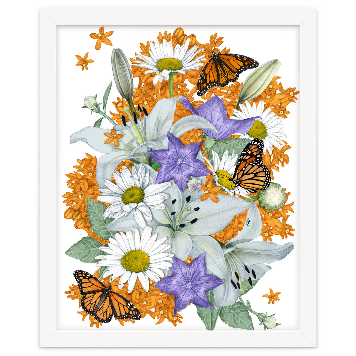 Lillies and Monarchs