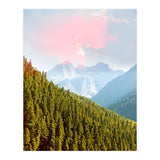 Evergreen (Print Only) thumbnail