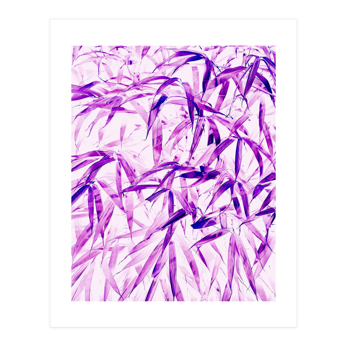 Ultra Violet (Print Only)