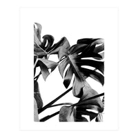 Monstera Black And White 06 (Print Only)