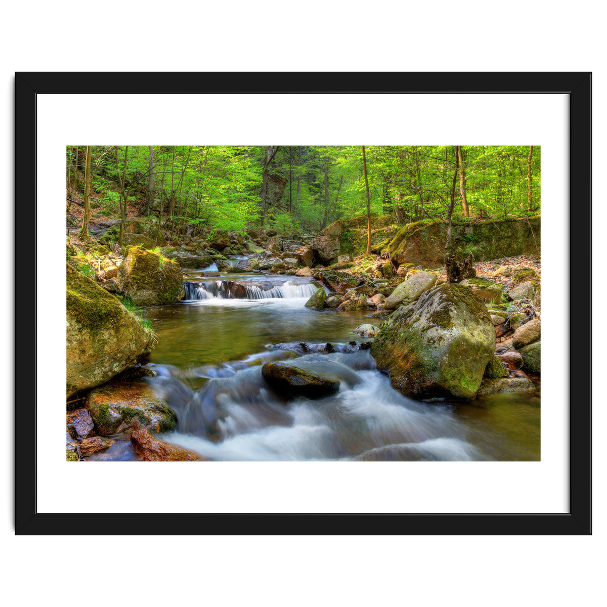 Spring At Harz Moutain