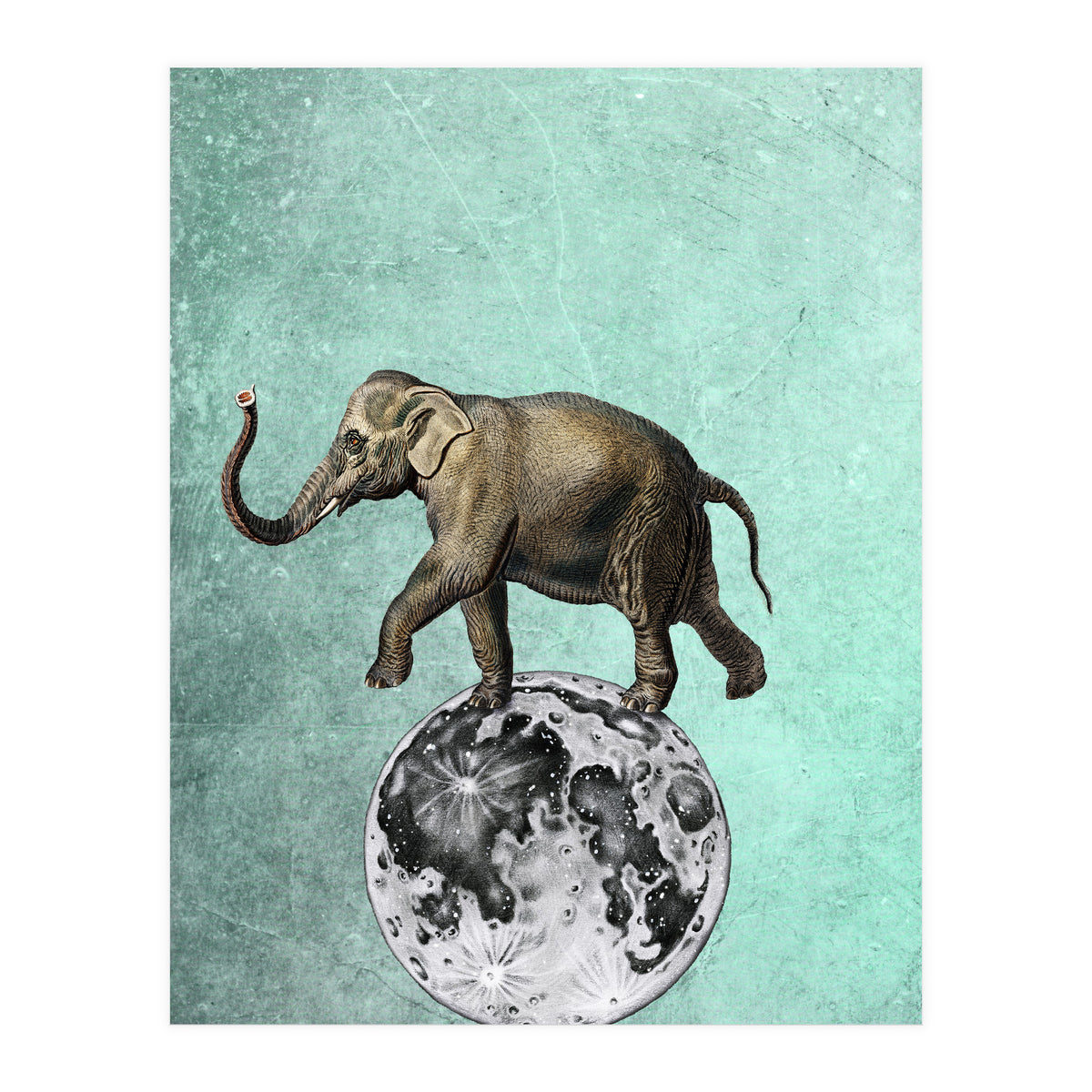 elefante sul modo (Print Only)