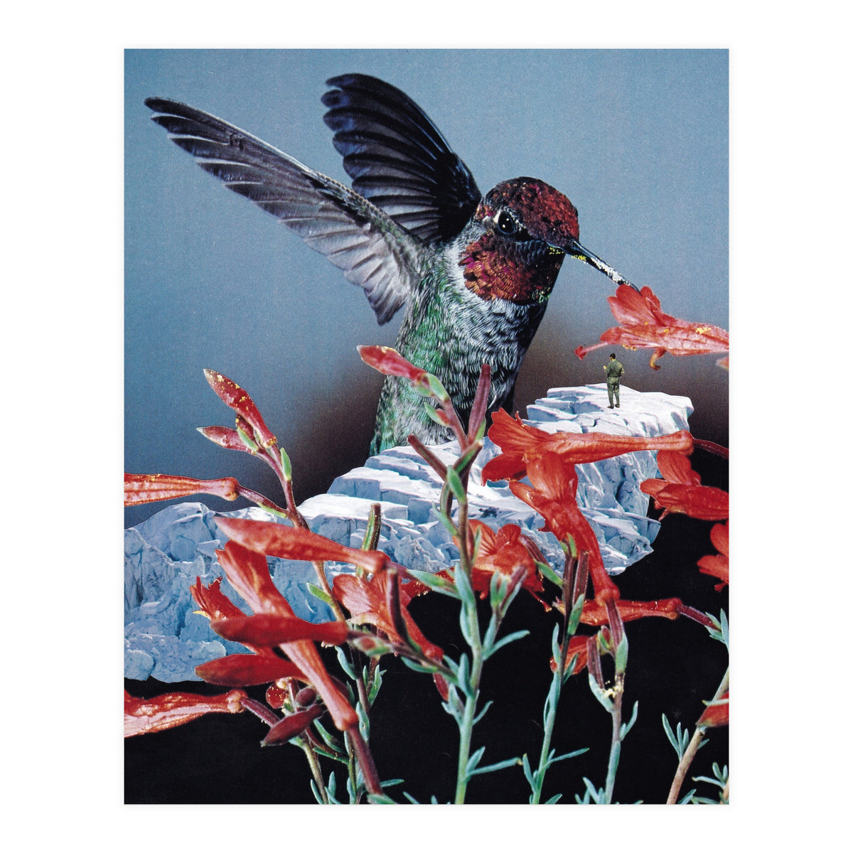 Bird Trainer (Print Only)