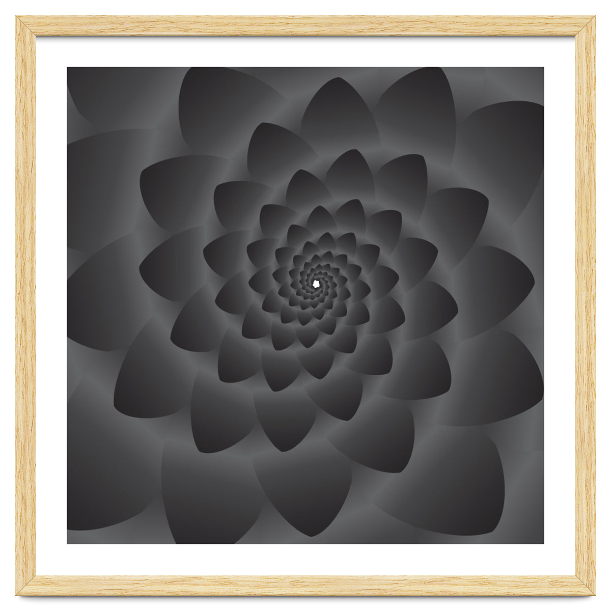 3 D Modern Black Floral