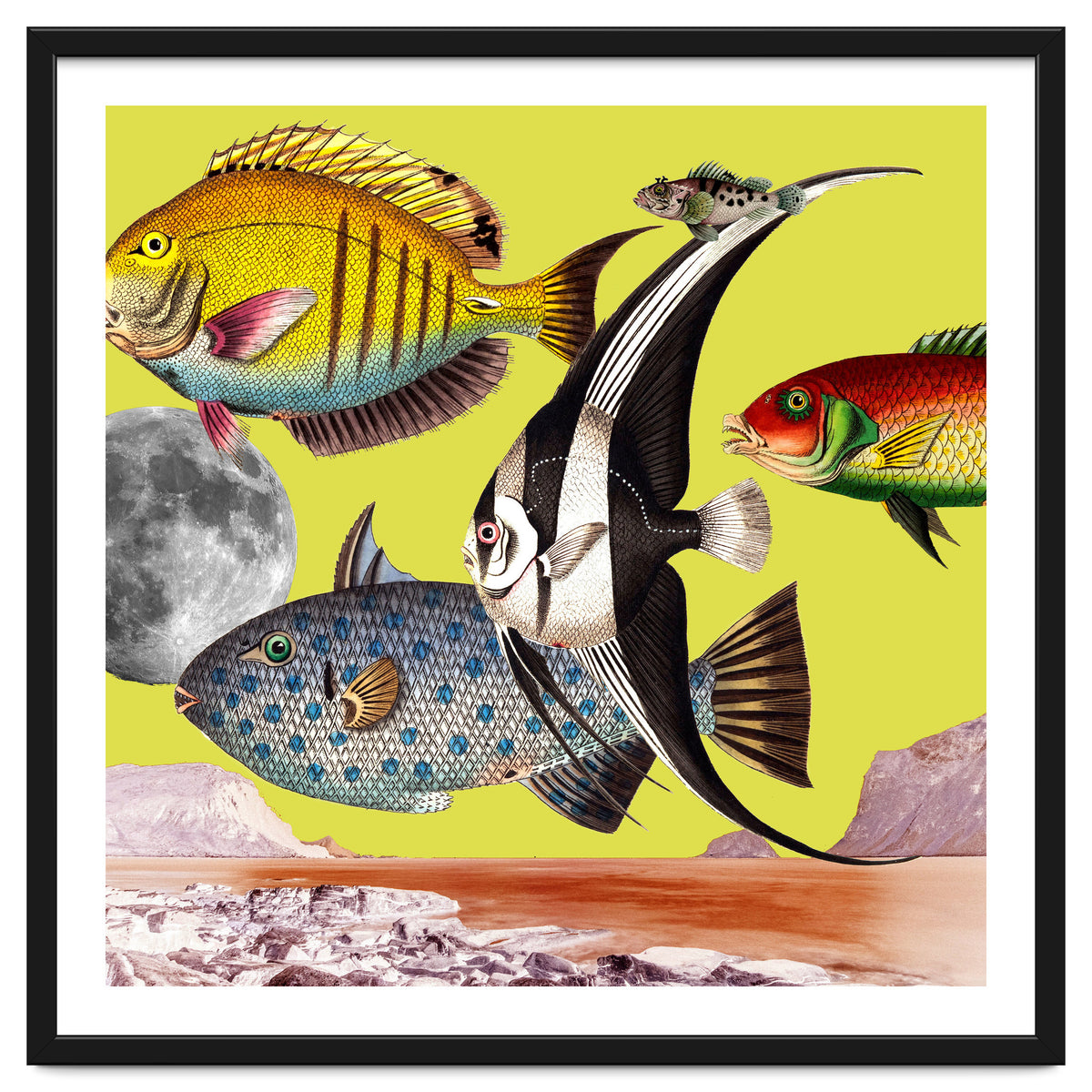 Plenty Of Fish In The Sea Yellow