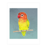 Cute yellow Fischer's lovebird (Print Only) thumbnail