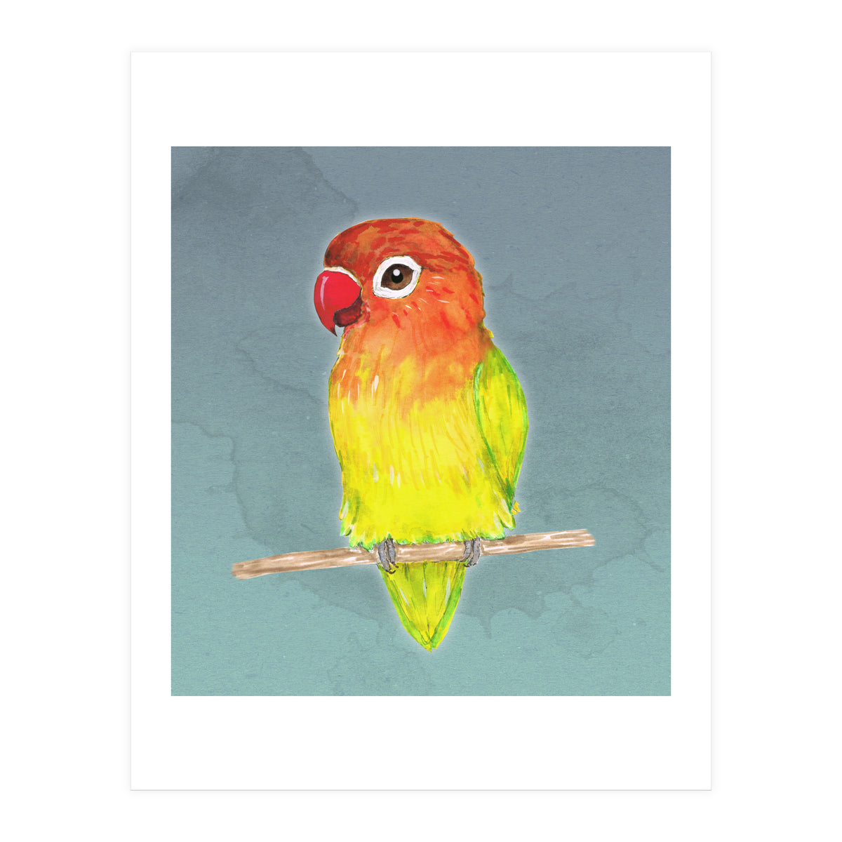 Cute yellow Fischer's lovebird (Print Only)