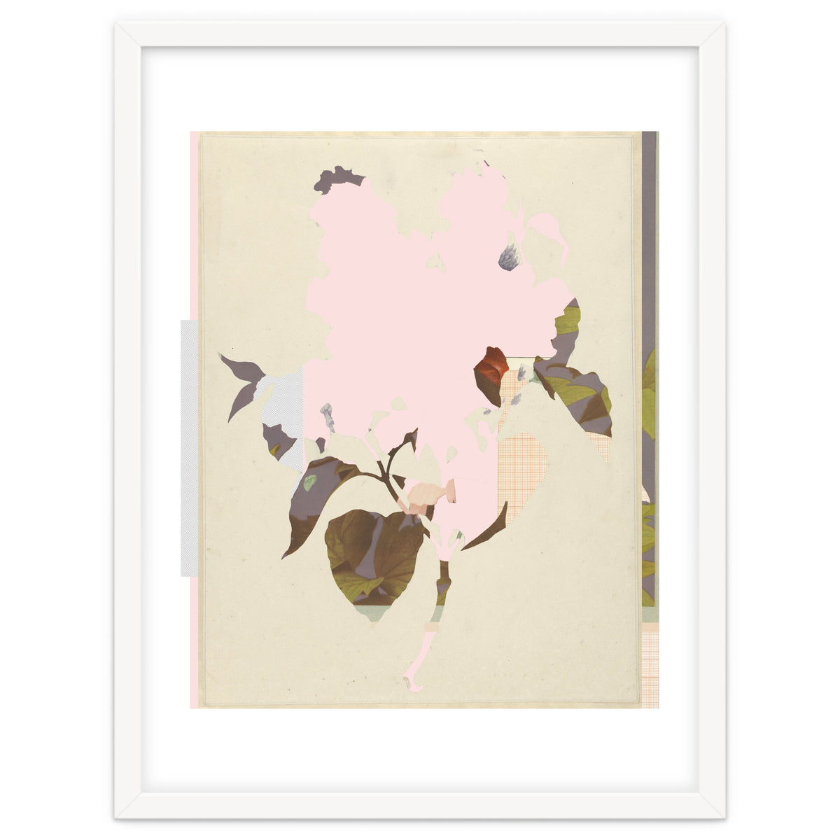 The First Plant · G