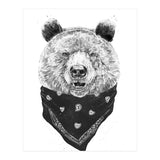 Wild Bear (Print Only) thumbnail
