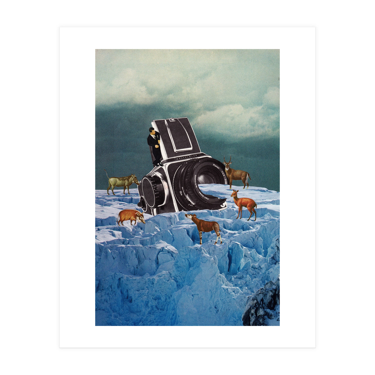 Cameraman (Print Only)