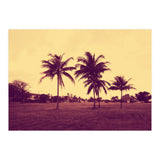 Palm Trees (Print Only) thumbnail