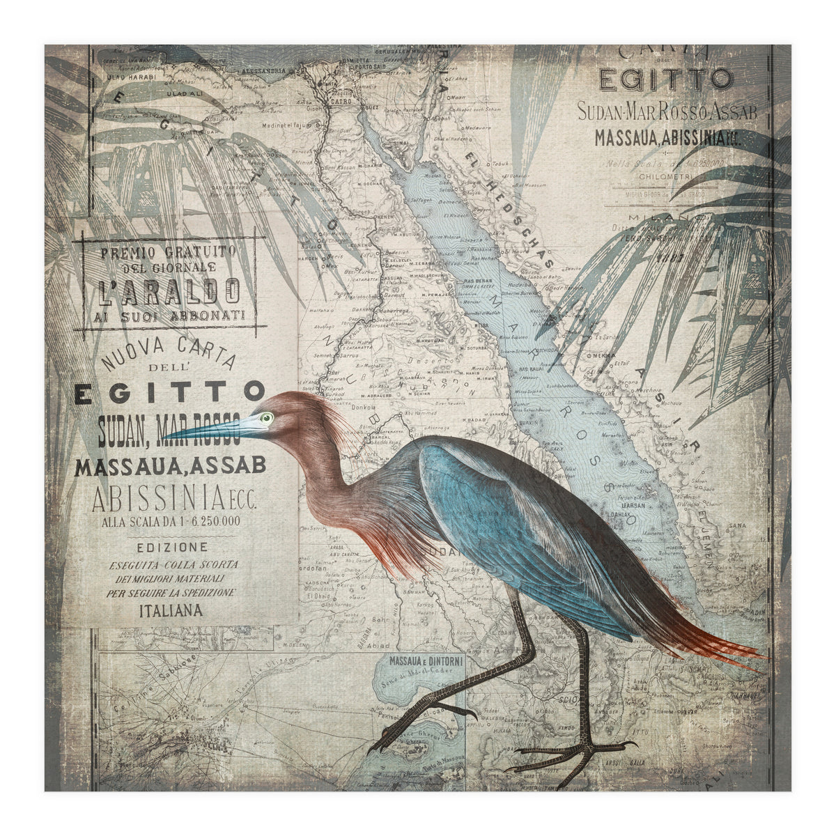Egypt Heron (Print Only)