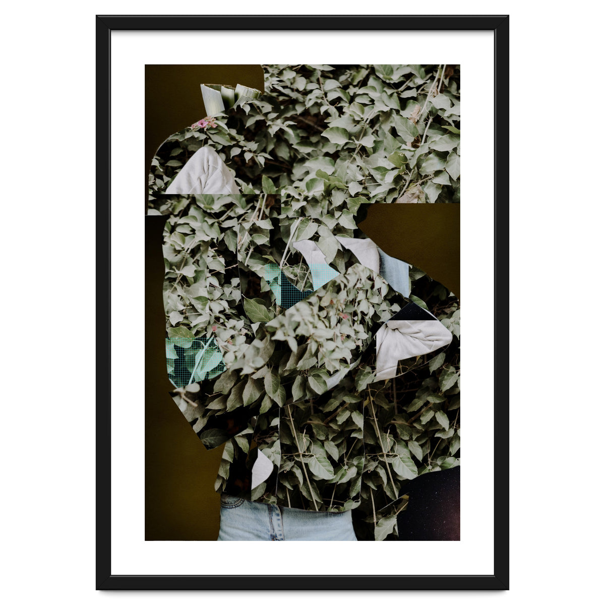 Disappeared Dreams 2