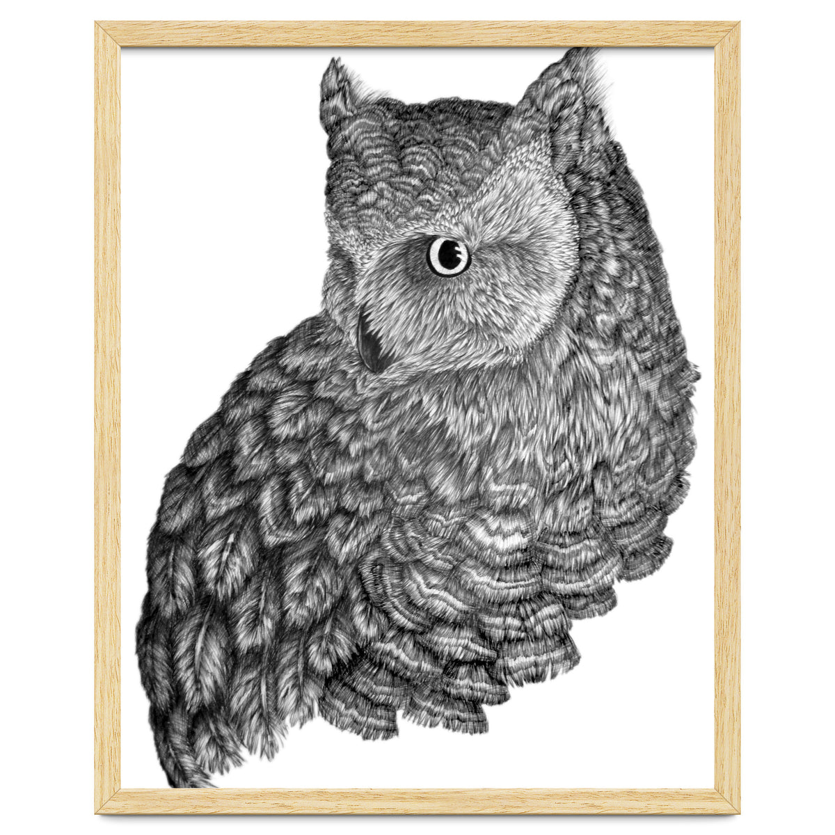 A Friend For Forsythe