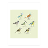 The Tit Family (Print Only) thumbnail