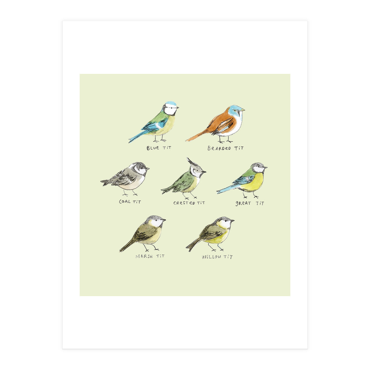 The Tit Family (Print Only)