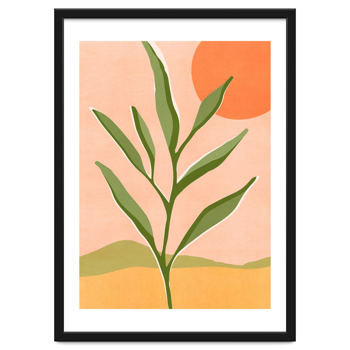 The Sun and The Succulent