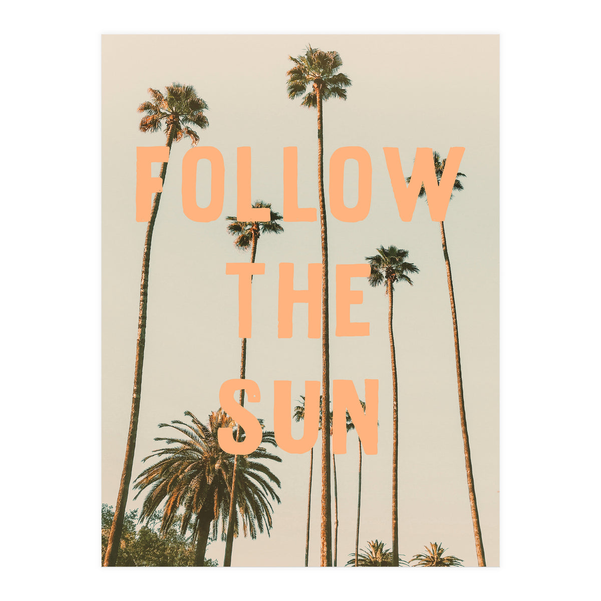 Follow The Sun (Print Only)