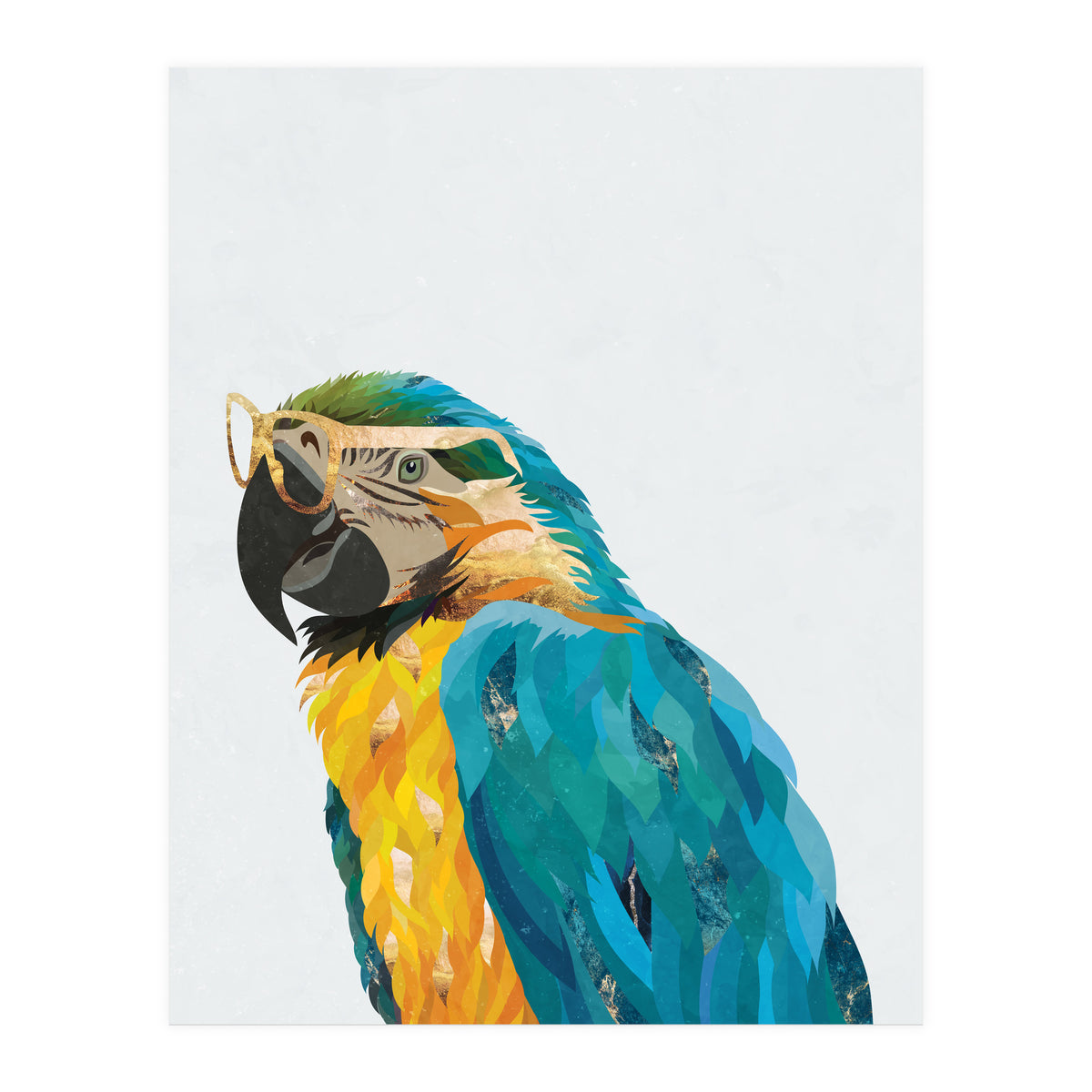 Macaw Portrait wearing gold glasses (Print Only)