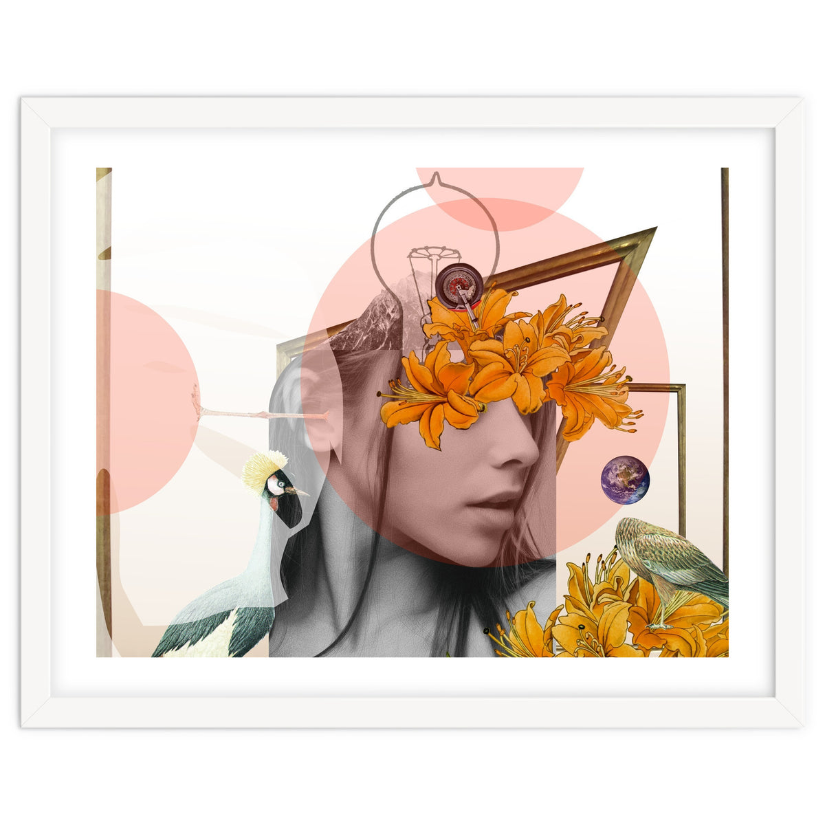 Dreamland Division · D