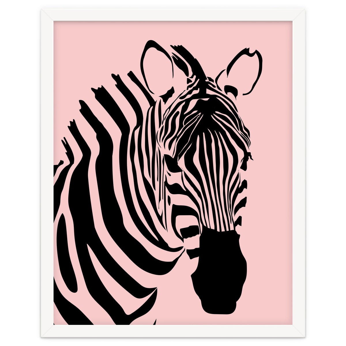 Zebra Stripes