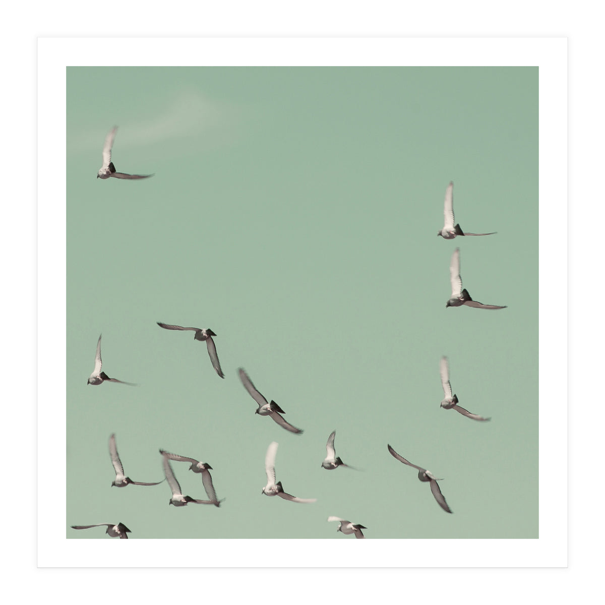 Mint Skies (Print Only)