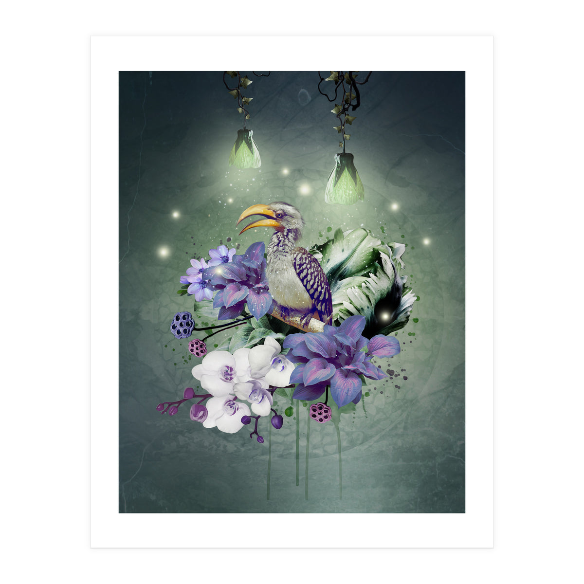Floral Magic Hornbill  (Print Only)