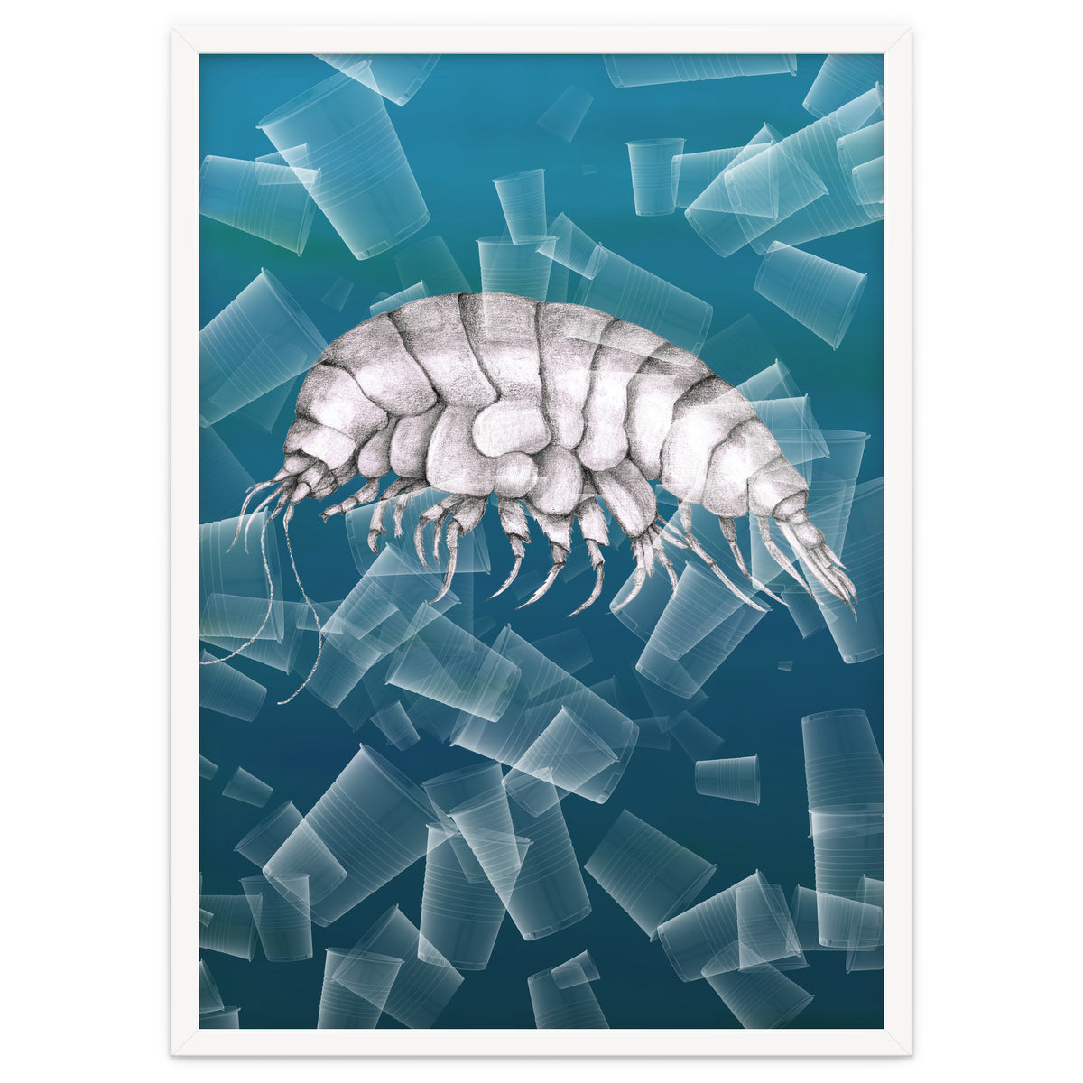 Eurythenes Plasticus