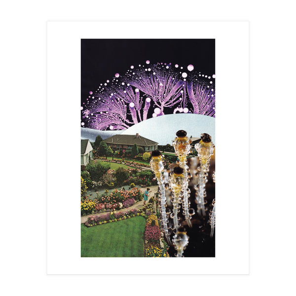 Fungi (Print Only)