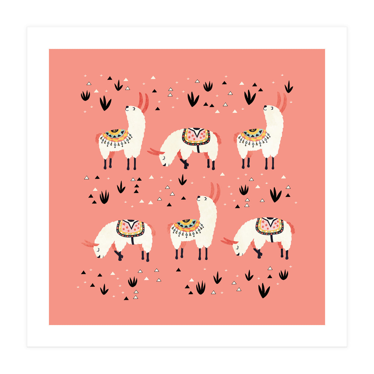 White Llamas In Pink Desert (Print Only)