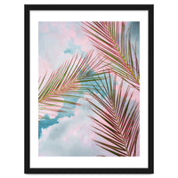 Palms + Sky