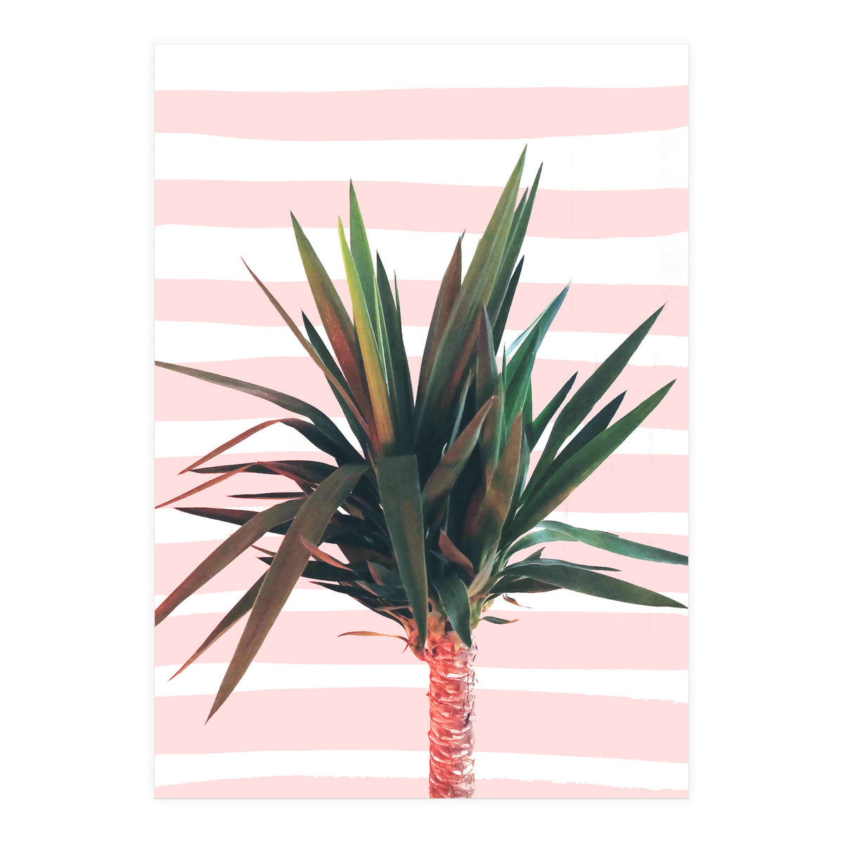 Dreamer (Print Only)