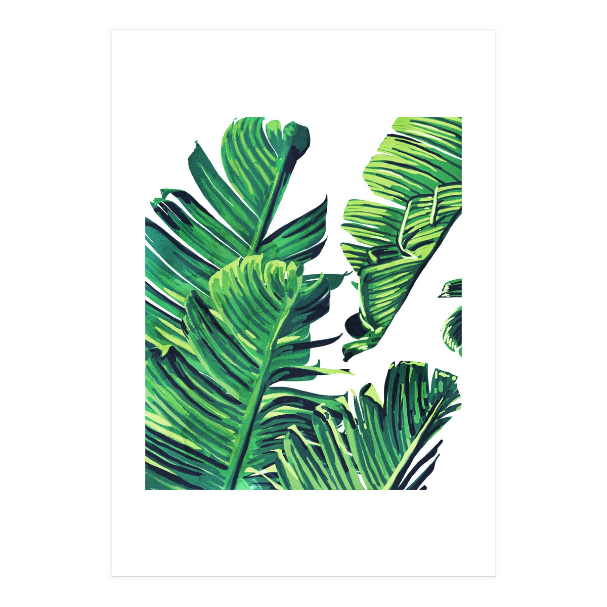 Banana Tree Leaves (Print Only)