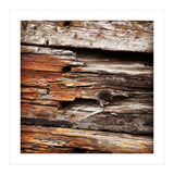 weather worn wood (Print Only) thumbnail
