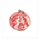 Pomegranate (Print Only) thumbnail