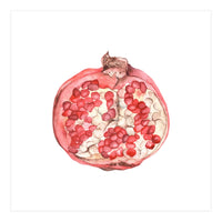 Pomegranate (Print Only)