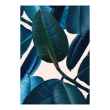 Ficus Elastica 2 (Print Only) thumbnail