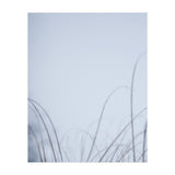 Forgotten Memories of Summer #20 (Print Only) thumbnail