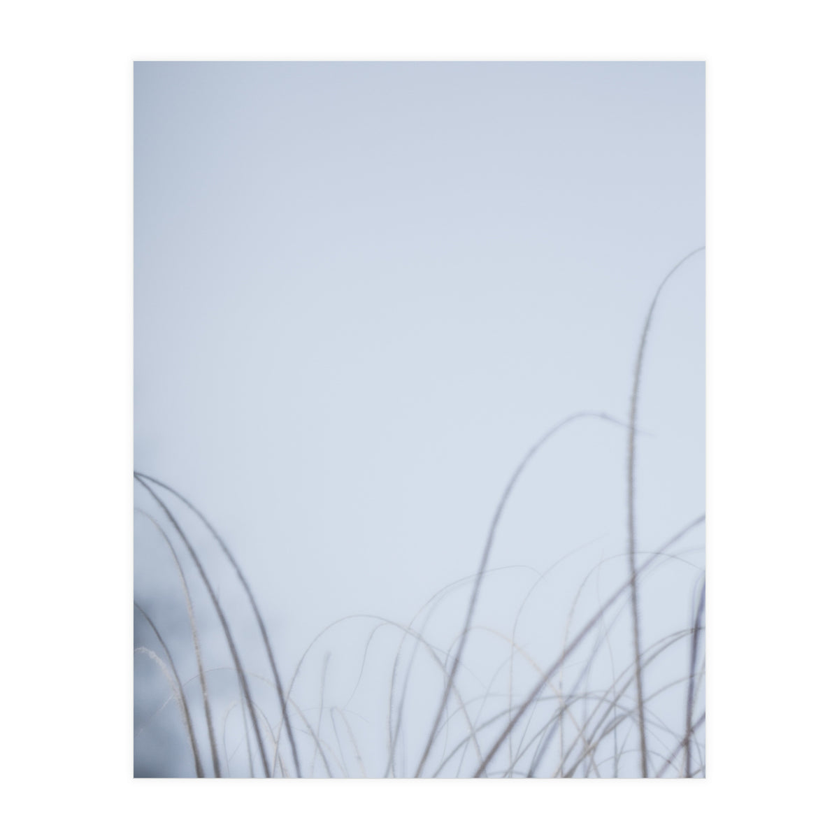 Forgotten Memories of Summer #20 (Print Only)