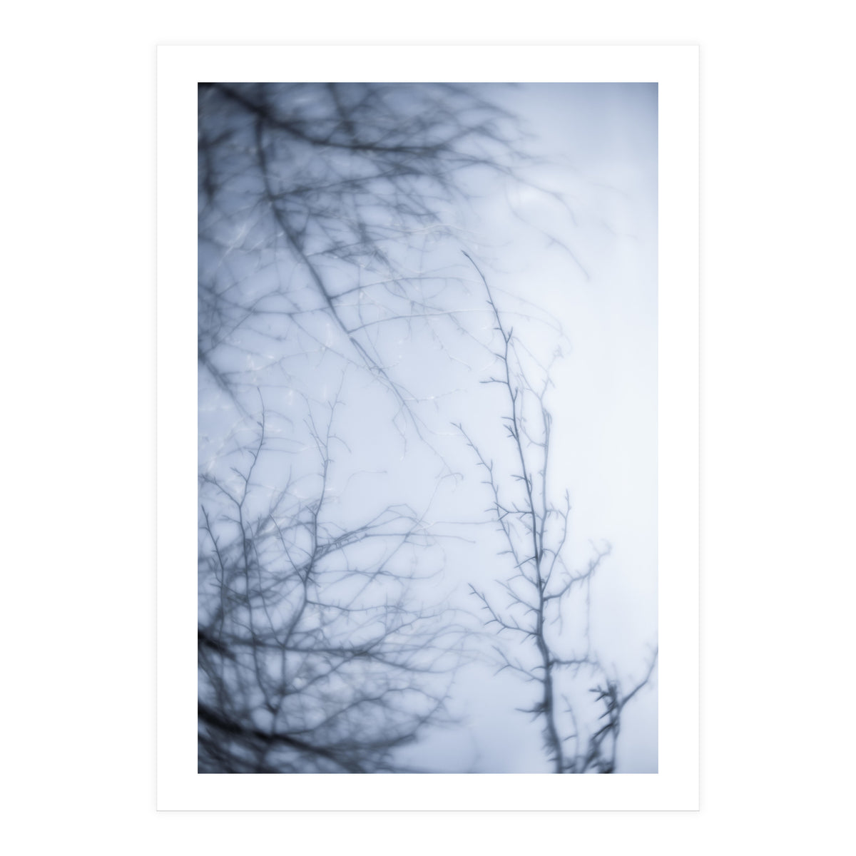 Forgotten Memories of Summer #21 (Print Only)