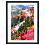 Valley of Pink Trees | Fantasy Pop of Color Forest Nature | Jungle Adventure Road Trip Pine thumbnail