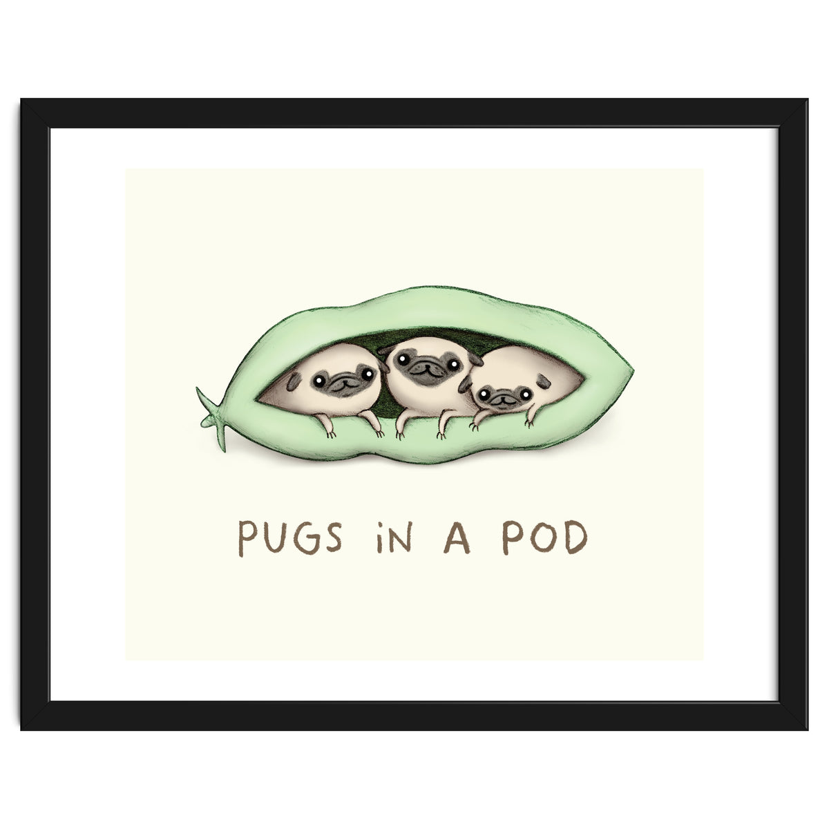Pugs In A Pod