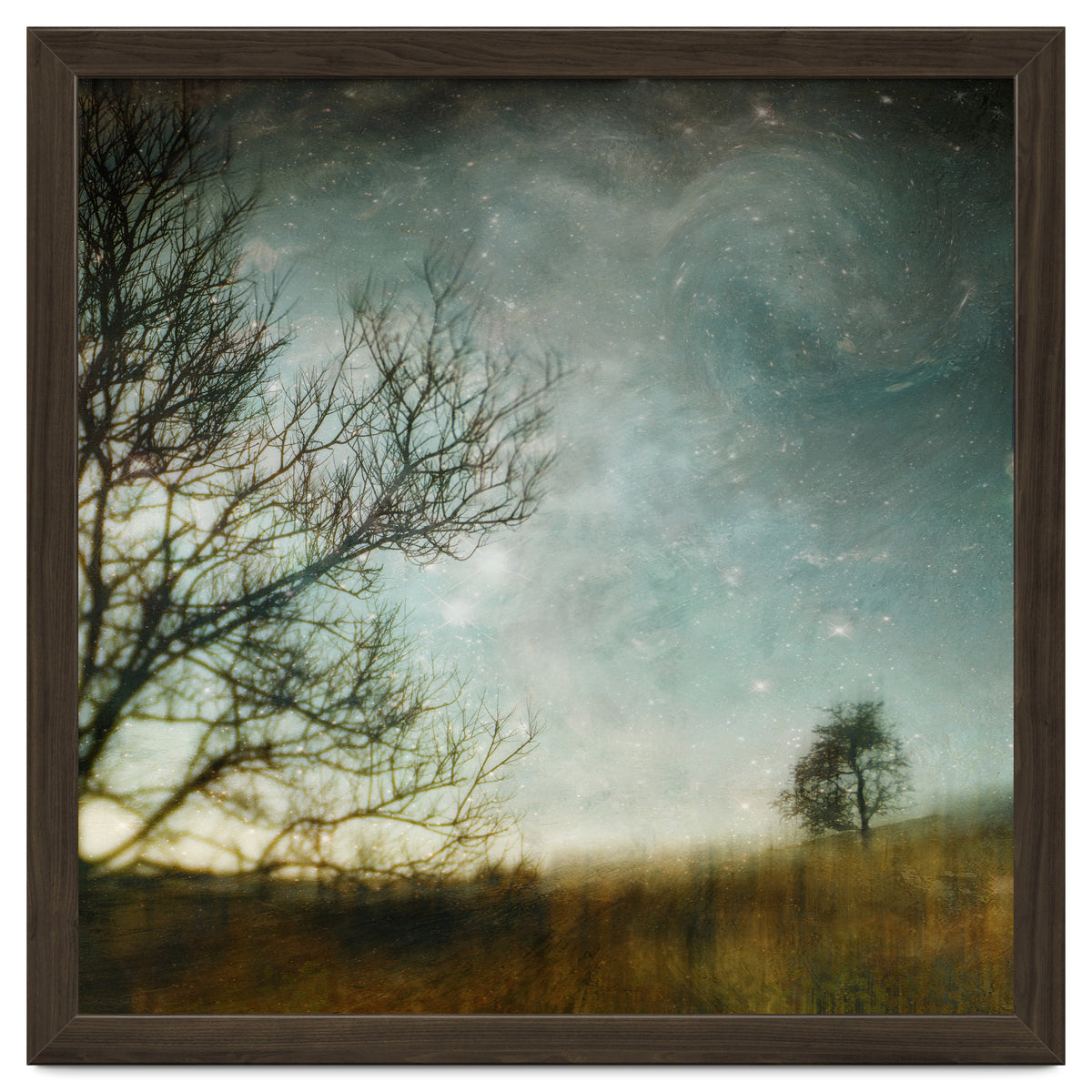 The Tree That Whispered